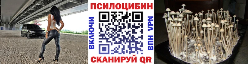 Псилоцибиновые грибы MAGIC MUSHROOMS  Купить  Донецк 